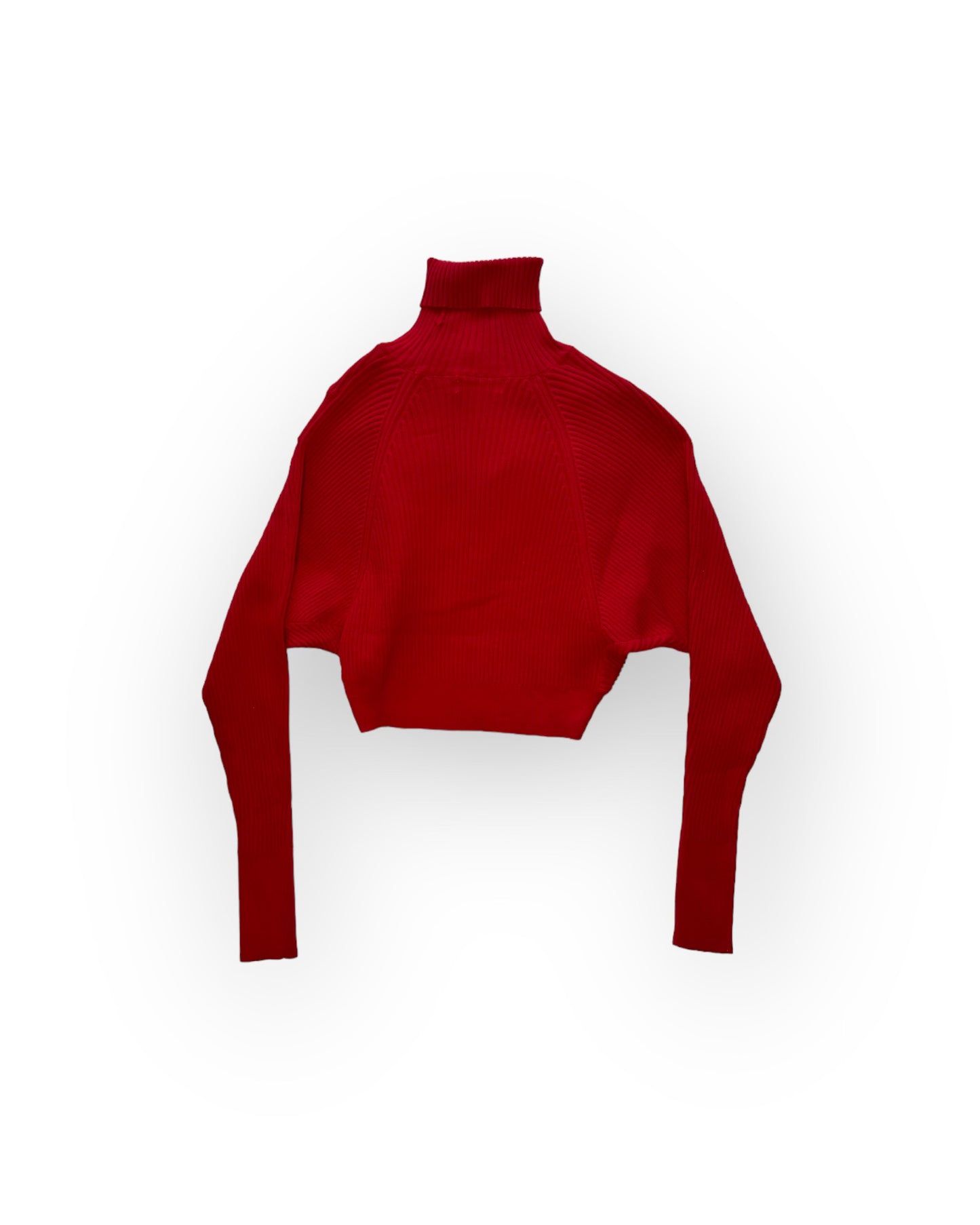 Turtle Neck Crop Sweater